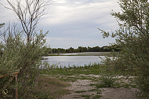 YPB_PR17_img_7381.jpg