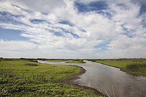 YPB_PR17_img_7399.jpg