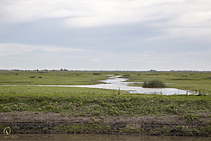 YPB_PR17_img_7401.jpg