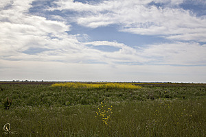 YPB_PR17_img_7409.jpg