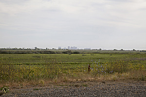 YPB_PR17_img_7411.jpg