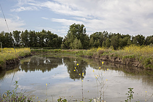 YPB_PR17_img_7415.jpg