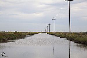 YPB_PR17_img_7419.jpg