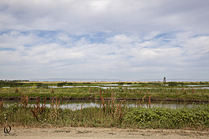 YPB_PR17_img_7430.jpg
