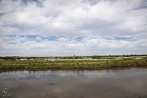 YPB_PR17_img_7442.jpg