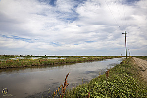YPB_PR17_img_7443.jpg