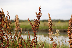 YPB_PR17_img_7450.jpg
