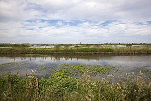 YPB_PR17_img_7452.jpg