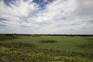YPB_PR17_img_7464.jpg