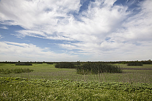 YPB_PR17_img_7465.jpg