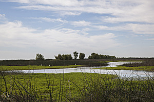 YPB_PR17_img_7469.jpg