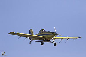 YBW_PR17_IMG_8721.jpg