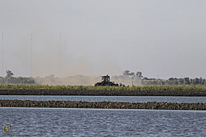 YBW_PR17_IMG_8832.jpg