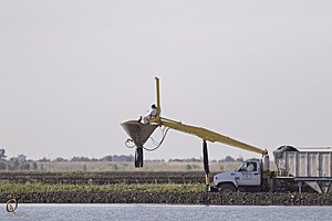 YBW_PR17_IMG_8880.jpg