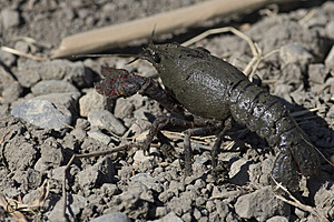 YBW_PR17_IMG_9173.jpg