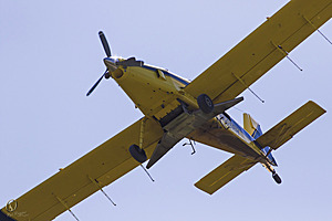 YBW_PR17_IMG_9234.jpg