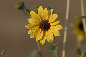 YBW_PR17_IMG_1844.jpg