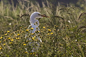 YBW_PR17_IMG_2023.jpg
