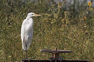 YBW_PR17_IMG_2105.jpg