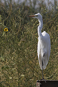 YBW_PR17_IMG_2108.jpg