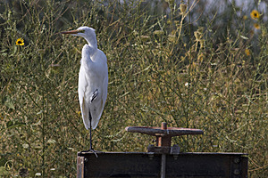 YBW_PR17_IMG_2118.jpg