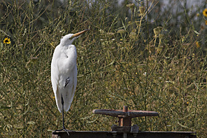YBW_PR17_IMG_2148.jpg