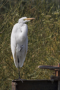 YBW_PR17_IMG_2149.jpg