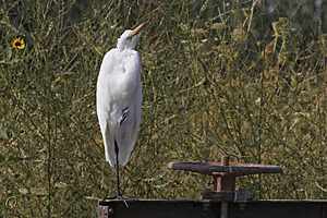 YBW_PR17_IMG_2151.jpg