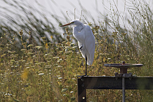 YBW_PR17_IMG_2181.jpg