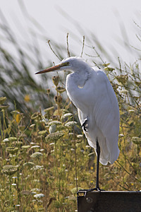 YBW_PR17_IMG_2185.jpg