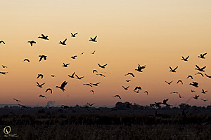 YBW_PR17_IMG_1067.jpg