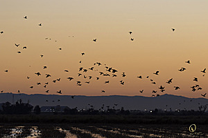 YBW_PR17_IMG_1075.jpg