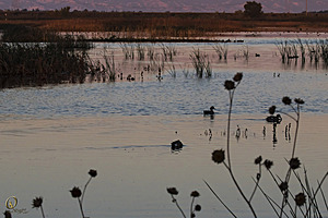 YBW_PR17_IMG_1113.jpg