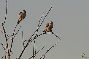 YBW_PR17_IMG_1167.jpg