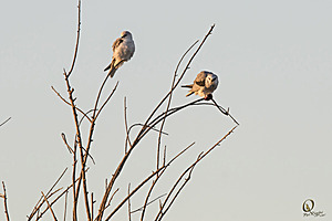 YBW_PR17_IMG_1179.jpg