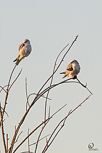 YBW_PR17_IMG_1183.jpg