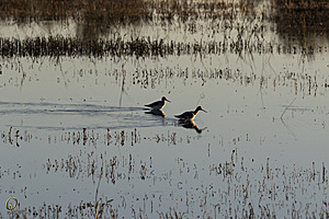 YBW_PR17_IMG_1218.jpg