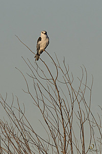 YBW_PR17_IMG_1293.jpg