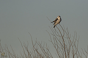 YBW_PR17_IMG_1310.jpg