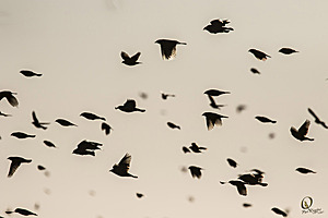 YBW_PR17_IMG_1376.jpg