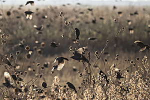 YBW_PR17_IMG_1383.jpg