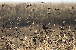 YBW_PR17_IMG_1389.jpg