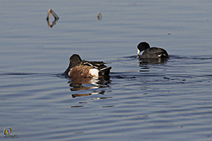 YBW_PR17_IMG_1457.jpg