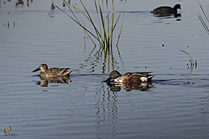 YBW_PR17_IMG_1463.jpg