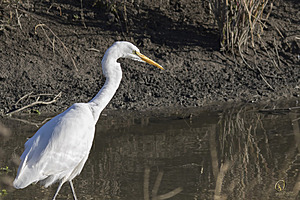 YBW_PR17_IMG_1529.jpg