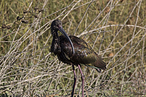 YBW_PR17_IMG_1552.jpg