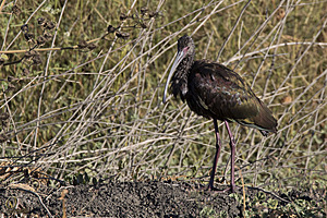 YBW_PR17_IMG_1554.jpg