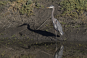 YBW_PR17_IMG_1613.jpg