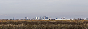 YB_PH17_IMG_4194.jpg
