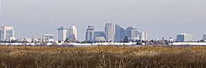YB_PH17_IMG_4196.jpg